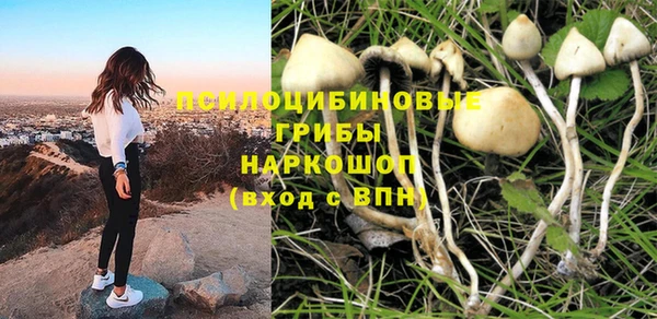первитин Алексеевка