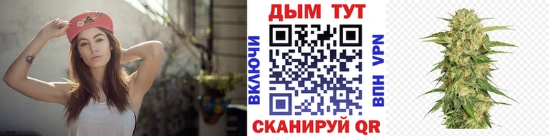 Шишки марихуана семена Бакал
